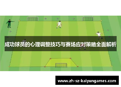 成功球员的心理调整技巧与赛场应对策略全面解析