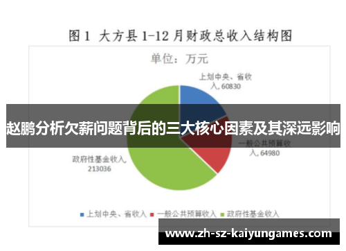 赵鹏分析欠薪问题背后的三大核心因素及其深远影响